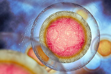 Social Freezing – Fruchtbarkeit der Eizelle erhalten Social Freezing – Fruchtbarkeit der Eizelle erhalten